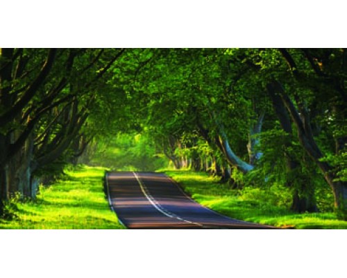 Desk Calendar DC 5